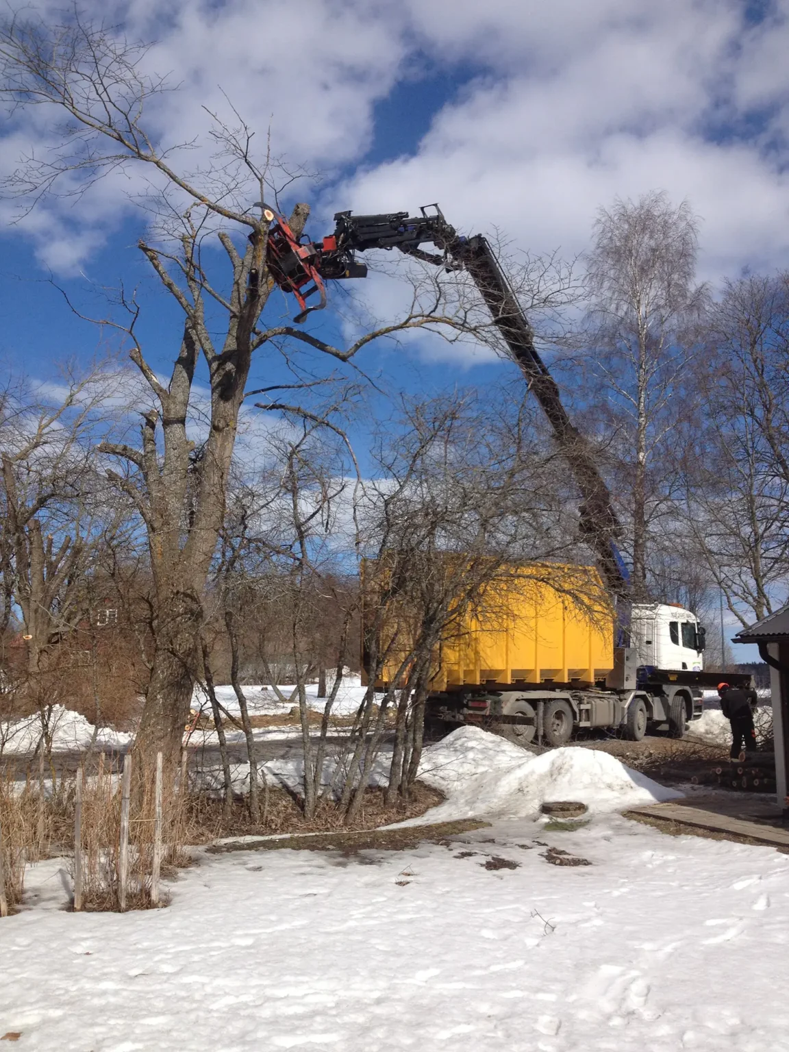 En kran kopplad till en lastbil trimmar grenar från ett högt träd en solig vinterdag. Marken är täckt av snöfläckar och himlen är delvis molnig. Lastbilen har en gul container.